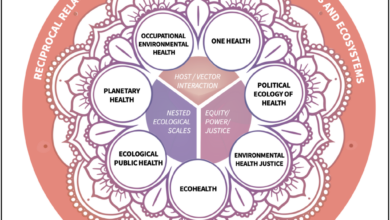 Health insurance